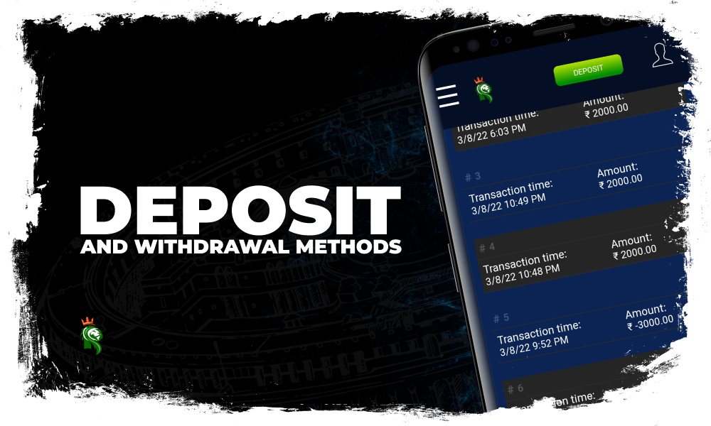 Deposit and Withdrawal Methods in the Application