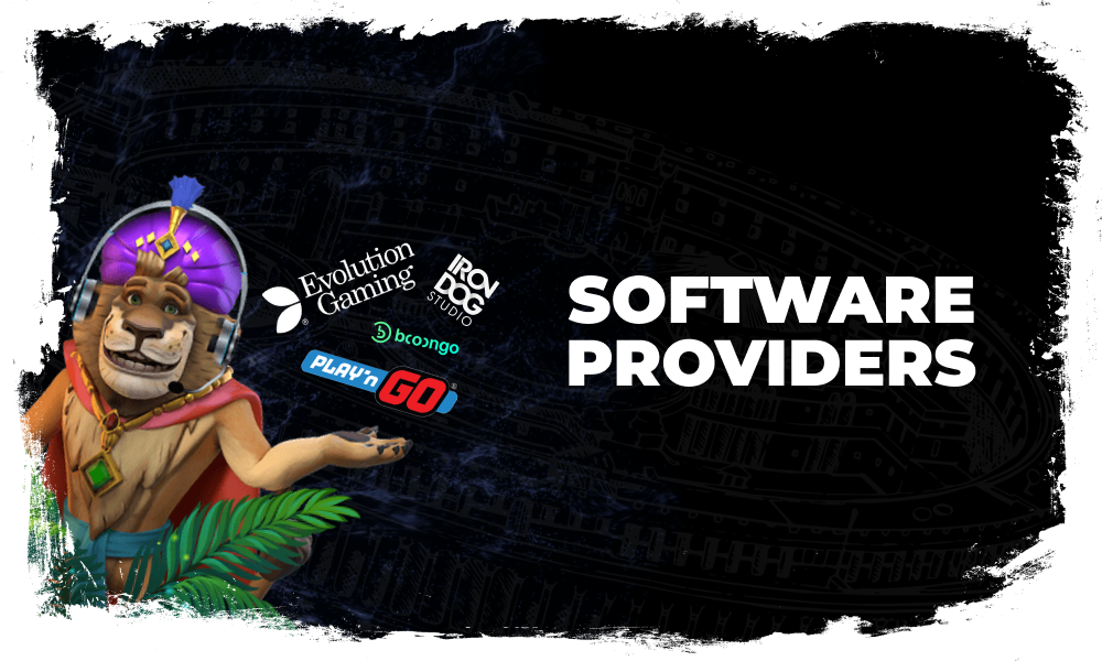 Available Software providers